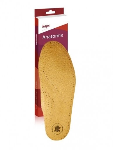 Anatomix